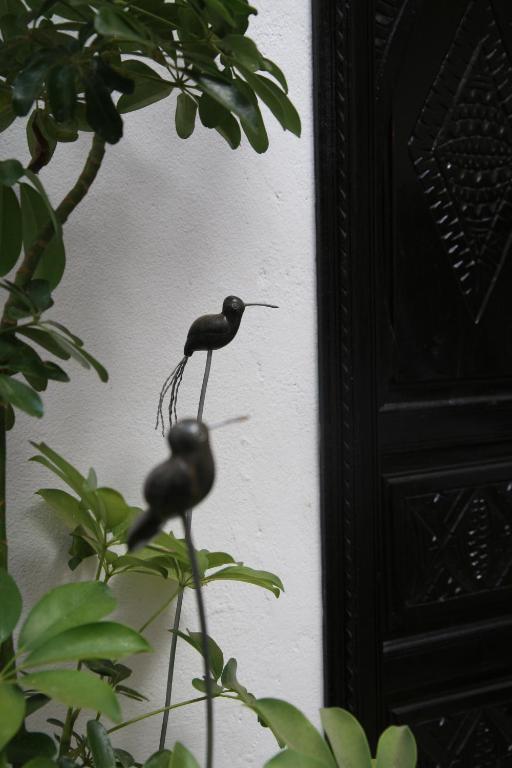 Hotel Riad Dar Zampa Marrakesch Exterior foto